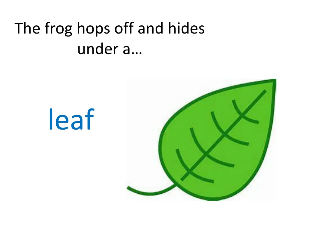 the frog hops off and hides under a