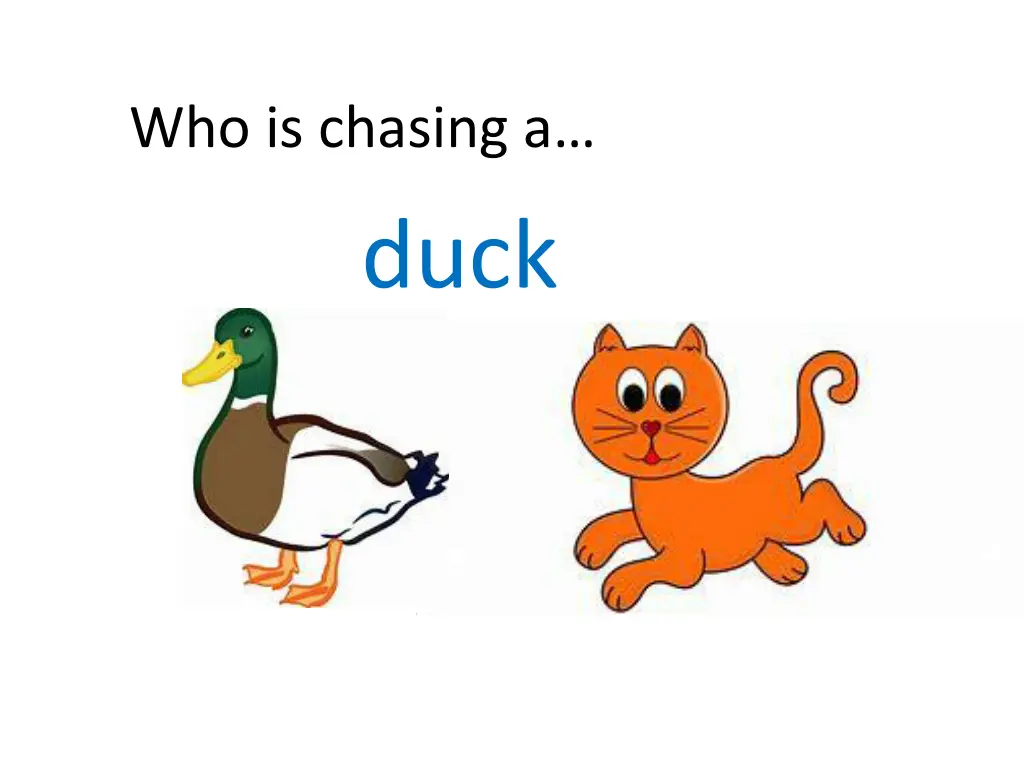 who is chasing a duck