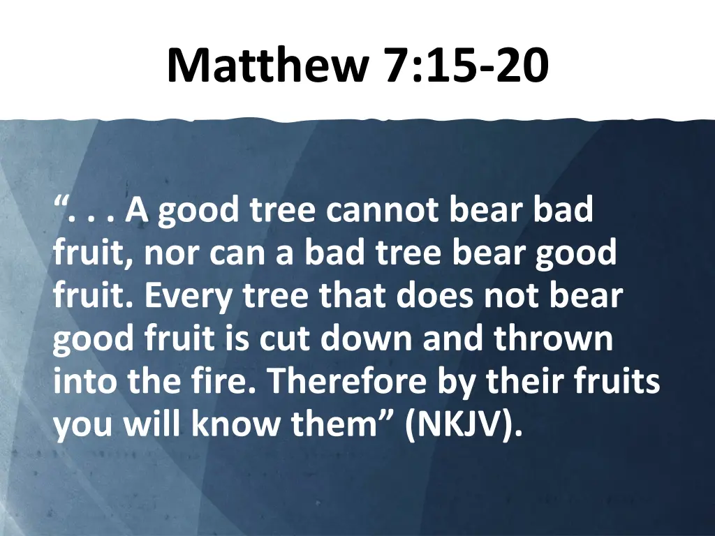 matthew 7 15 20 1