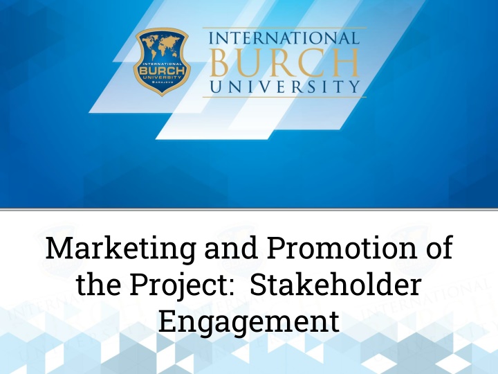 marketing and promotion of the project