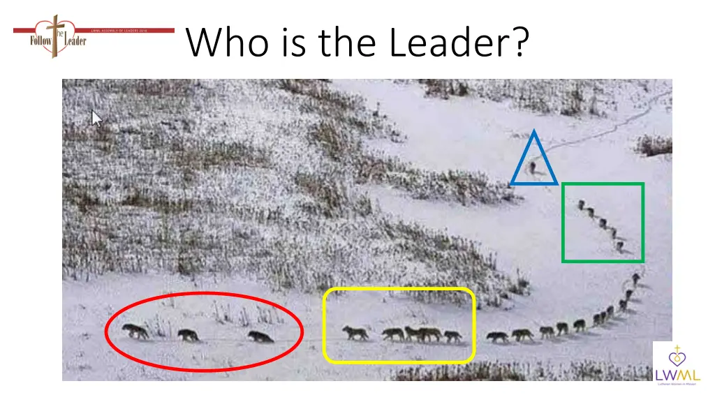 who is the leader