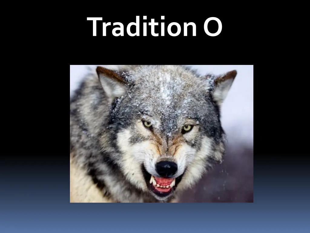 tradition o 3