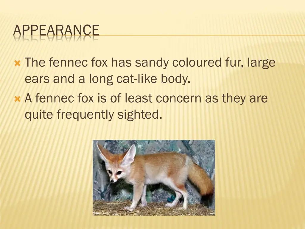 appearance