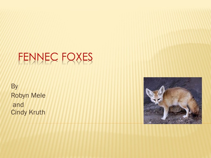 fennec foxes