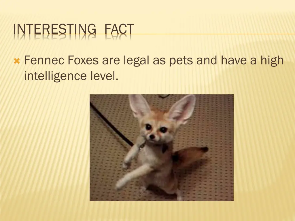 interesting fact