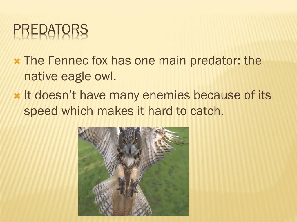 predators