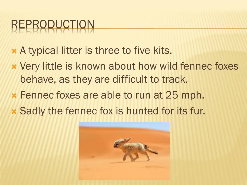reproduction