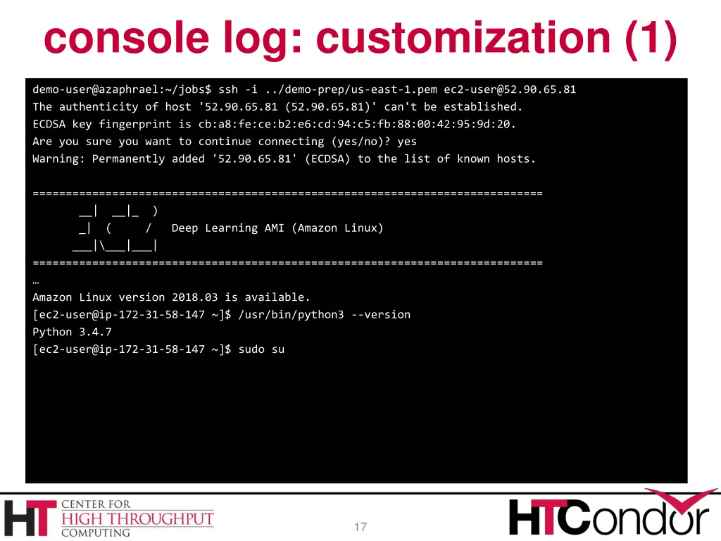 console log customization 1