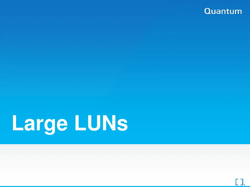 large luns