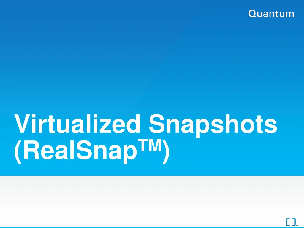 virtualized snapshots realsnap tm
