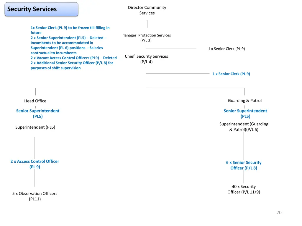 director community services 1
