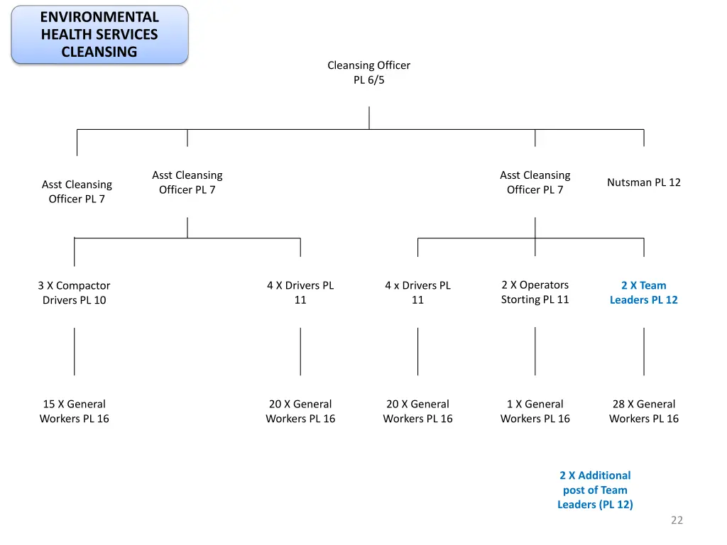 environmental health services cleansing