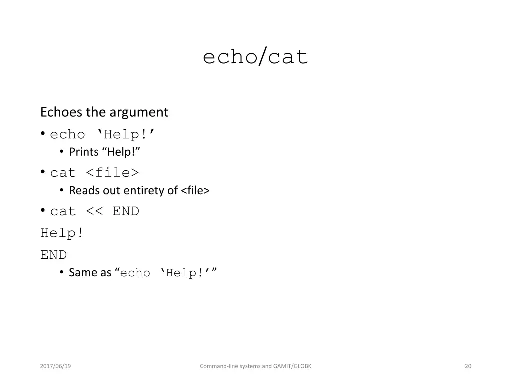 echo cat