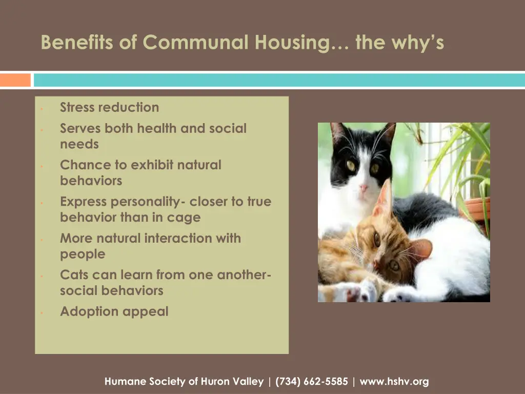 benefits of communal housing the why s