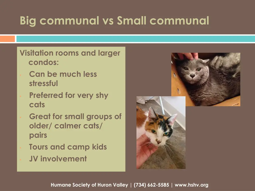 big communal vs small communal 1