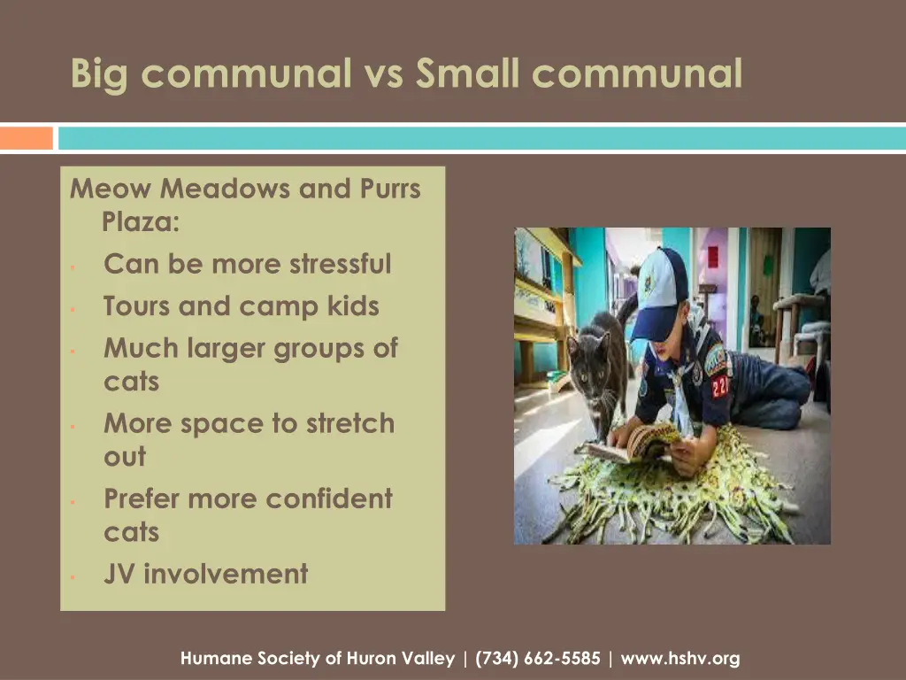 big communal vs small communal
