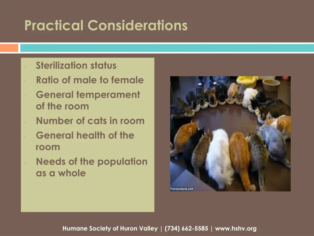 practical considerations