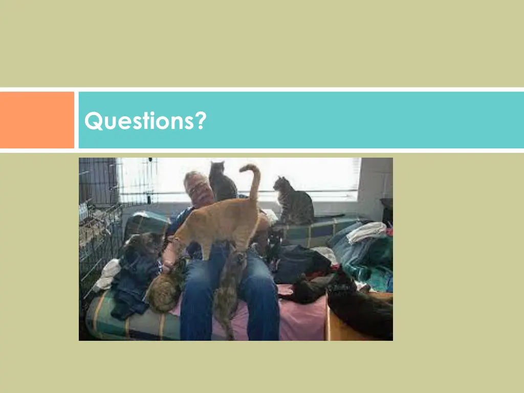 questions