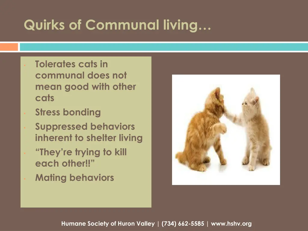 quirks of communal living
