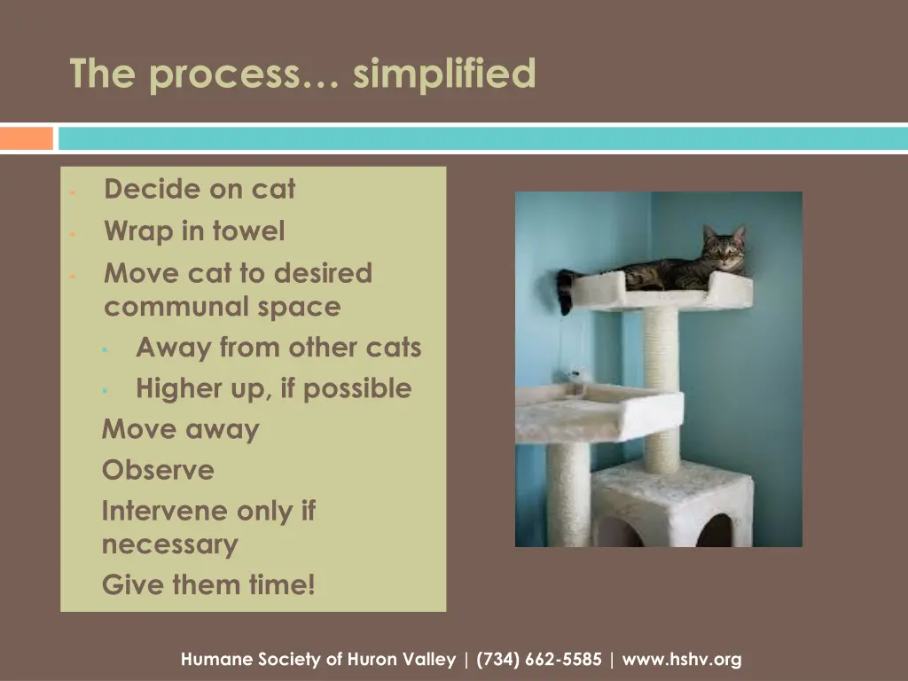 the process simplified