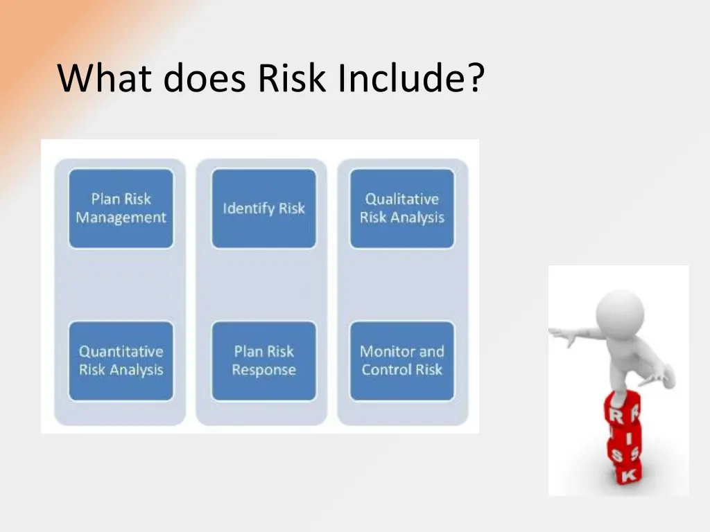 what does risk include