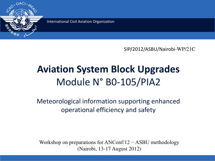 international civil aviation organization