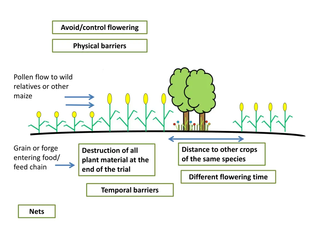 avoid control flowering