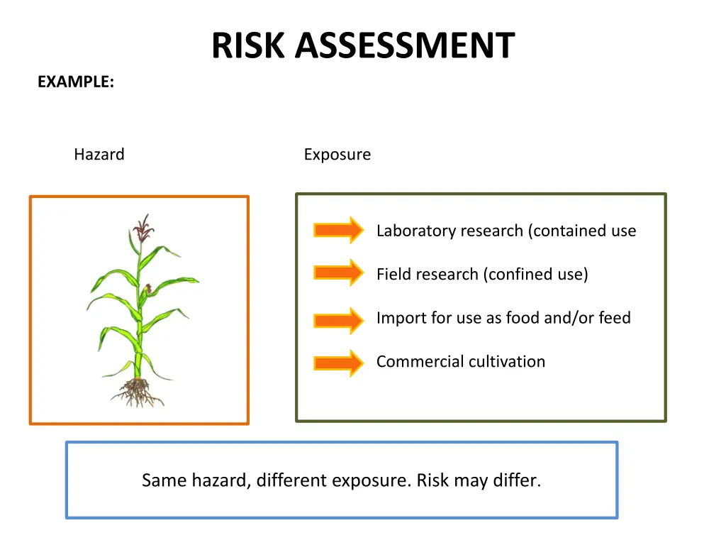 risk assessment