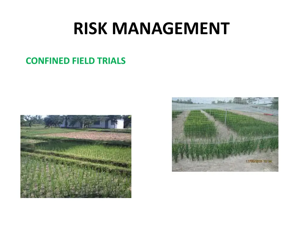 risk management 6