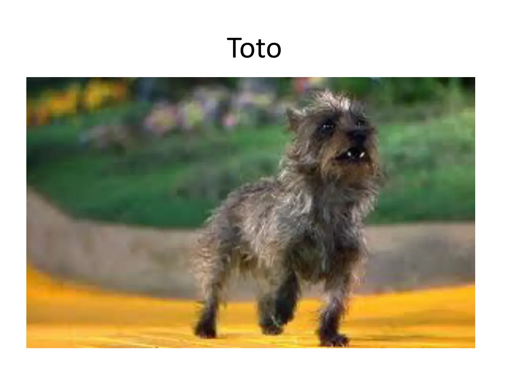 slide4