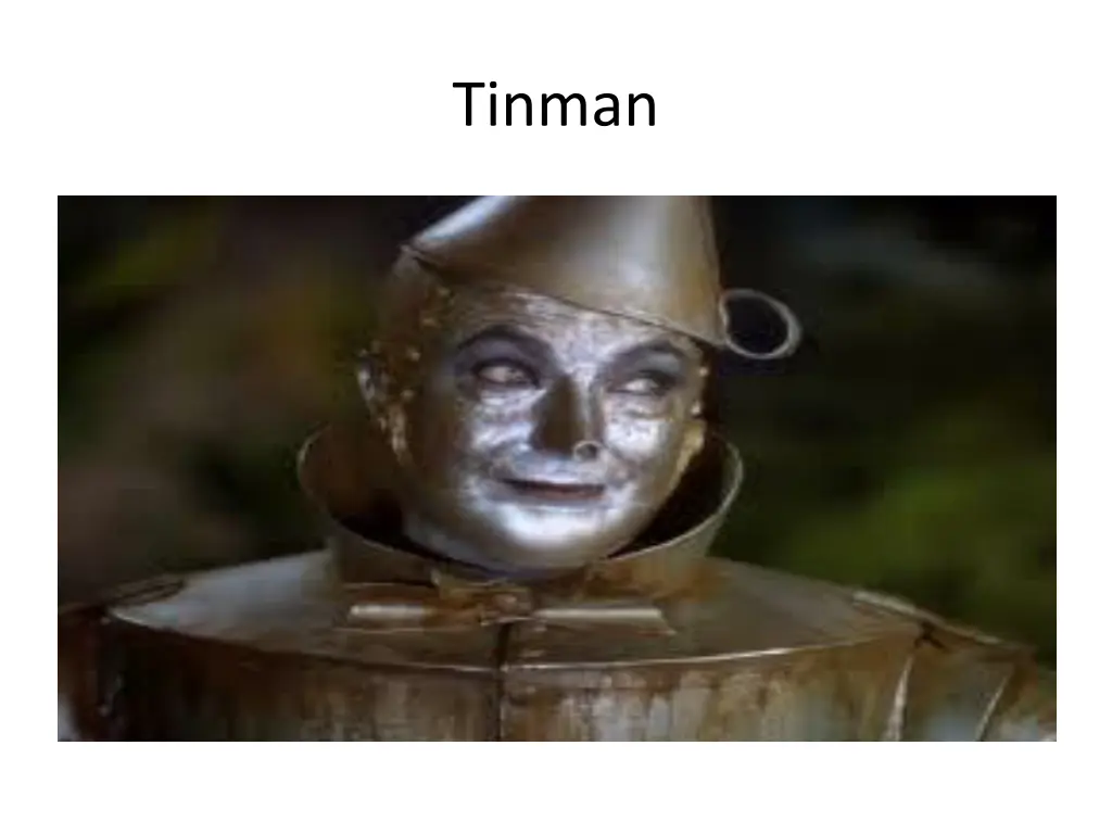 tinman