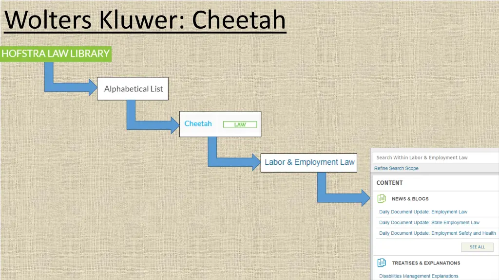 wolters kluwer cheetah