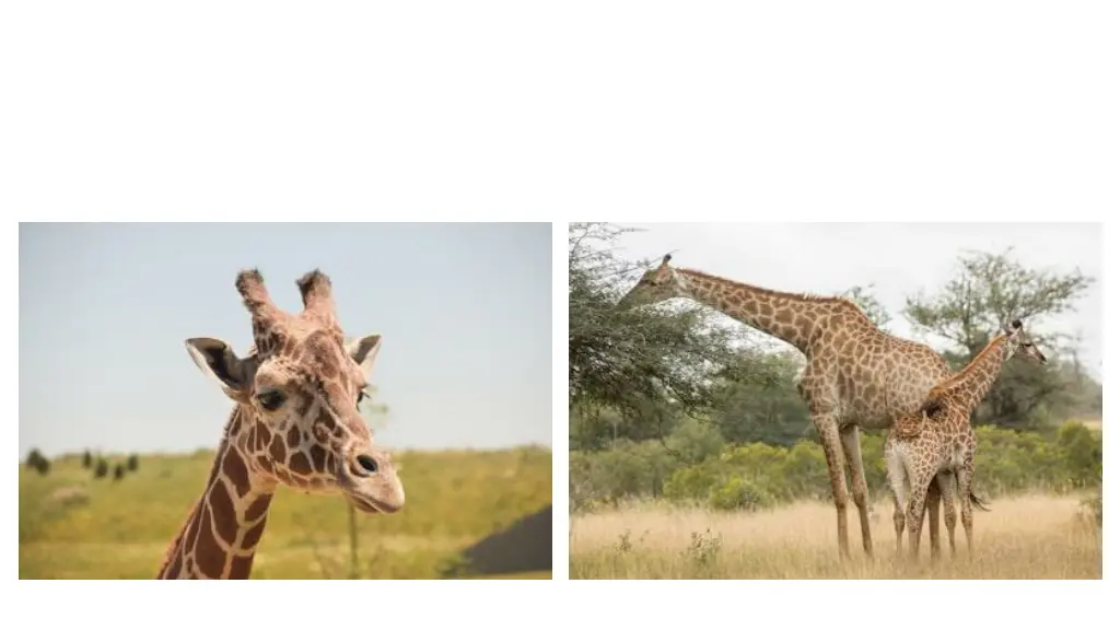 slide12