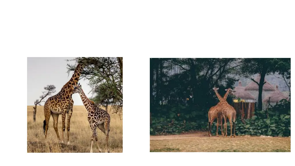 slide3