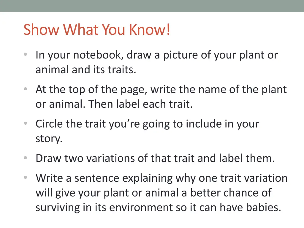 show what you know 2