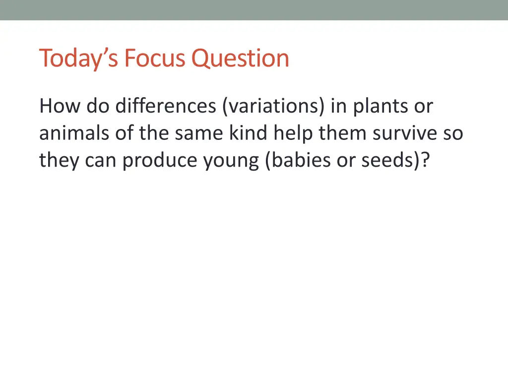 today s focus question