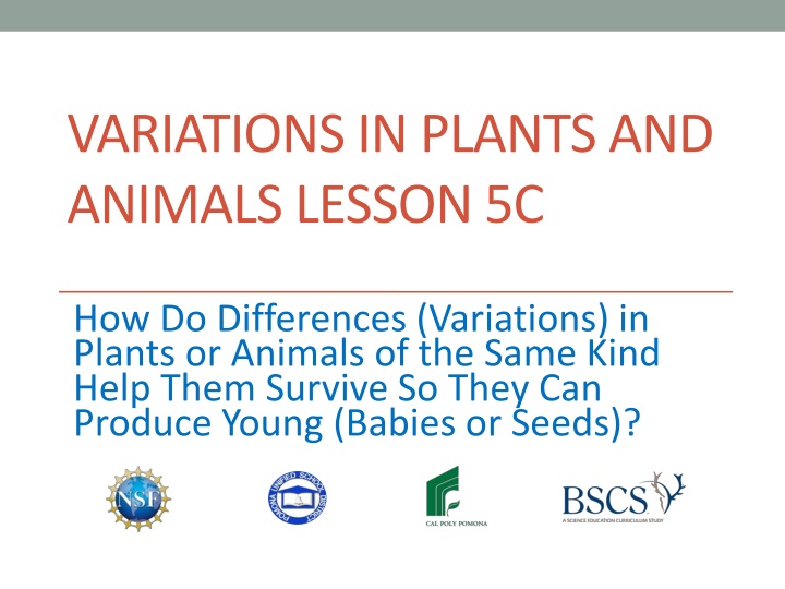 variations in plants and animals lesson 5c