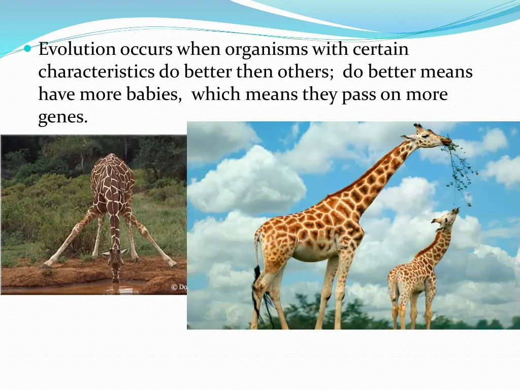 evolution occurs when organisms with certain