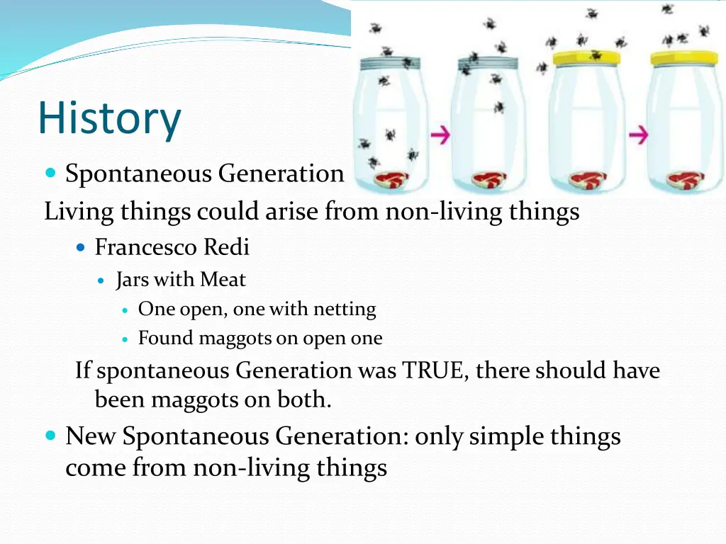 history