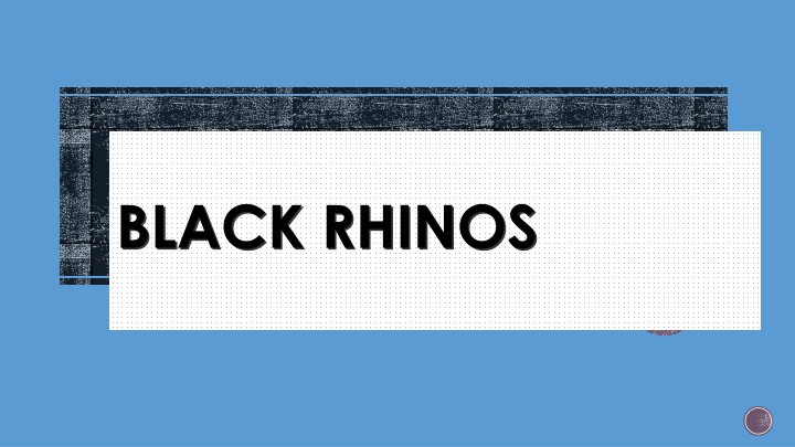 black rhinos