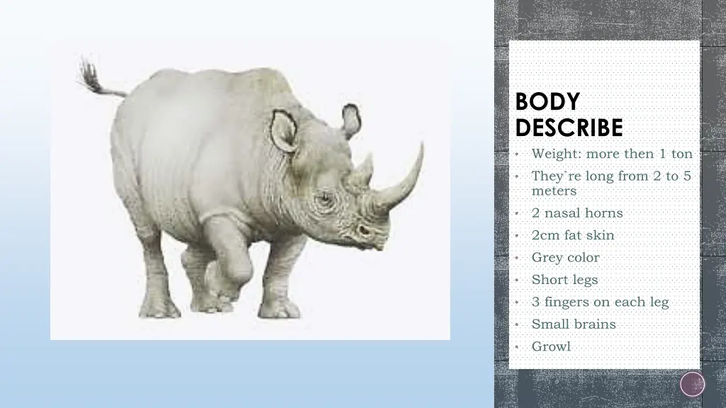 body describe weight more then 1 ton they re long