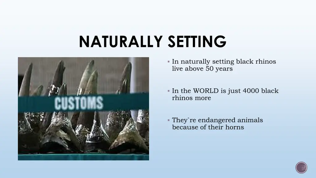 naturally setting