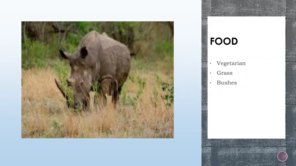 slide5