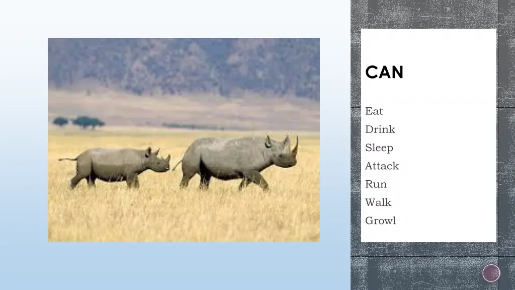slide6