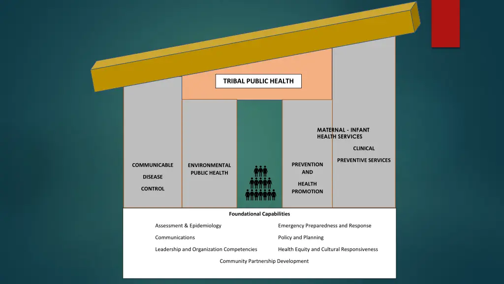 tribal public health