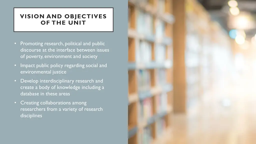 vision and objectives of the unit