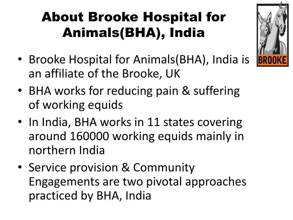 about brooke hospital for animals bha india