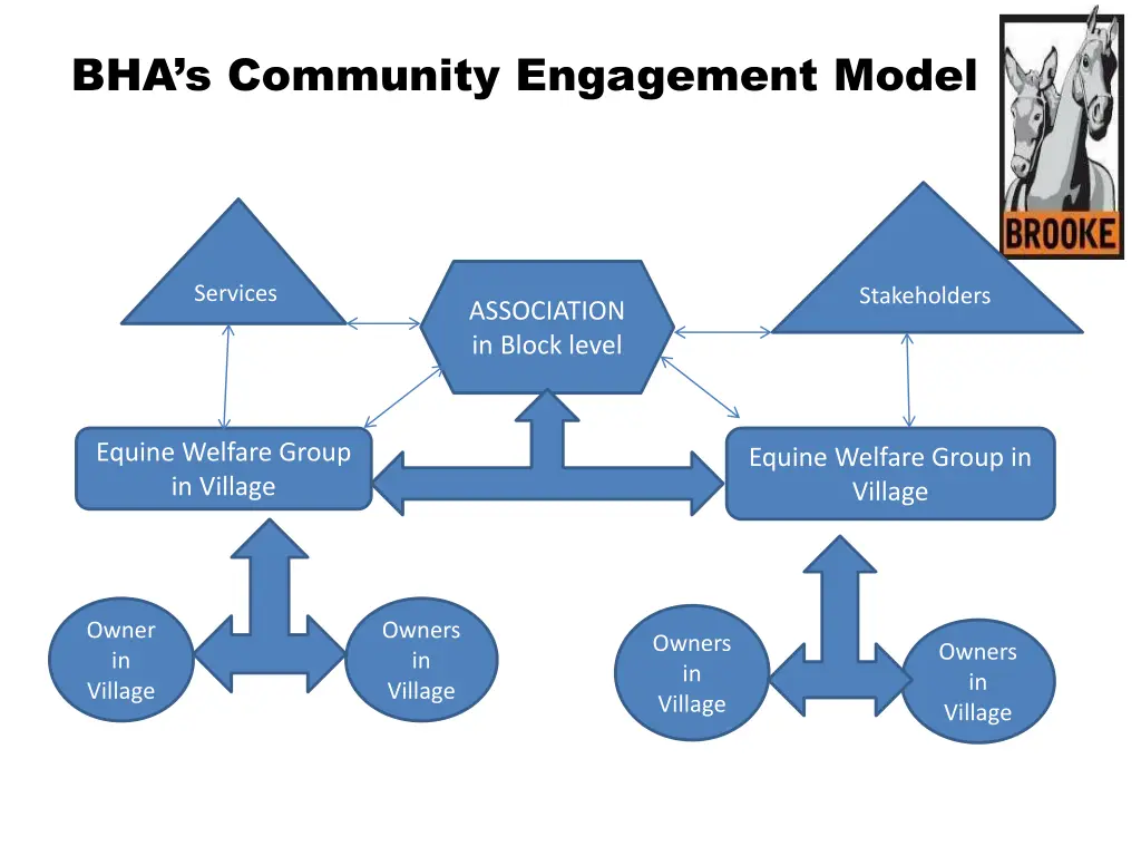 bha s community engagement model