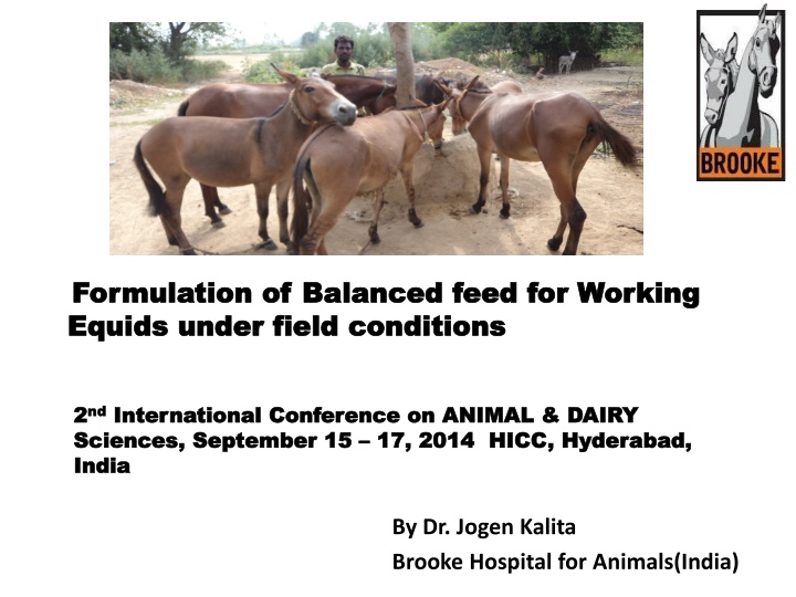 formulation of balanced feed for working