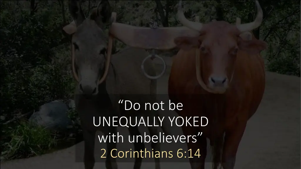 do not be unequally yoked with unbelievers